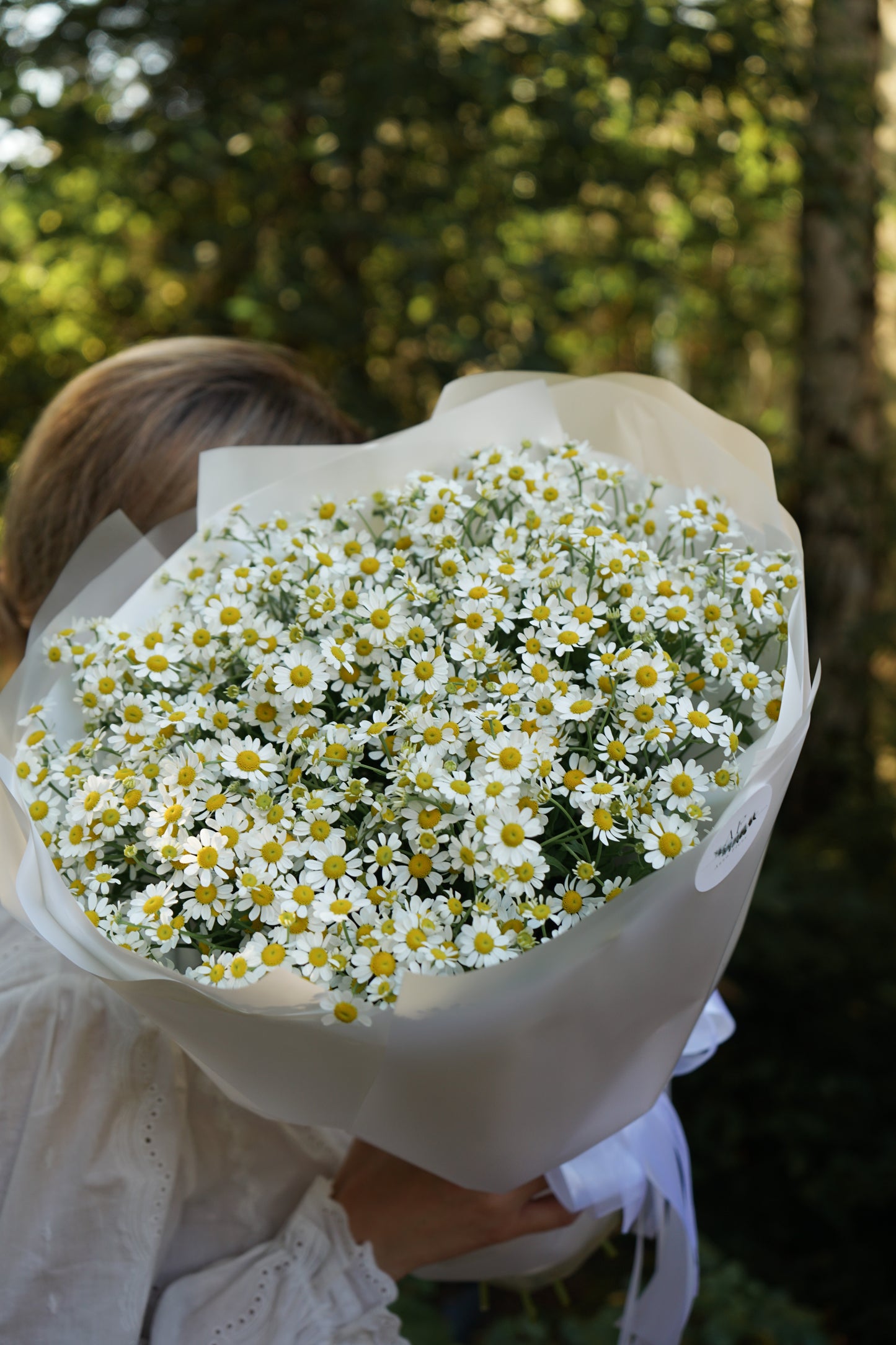 Bouquet of chamomiles