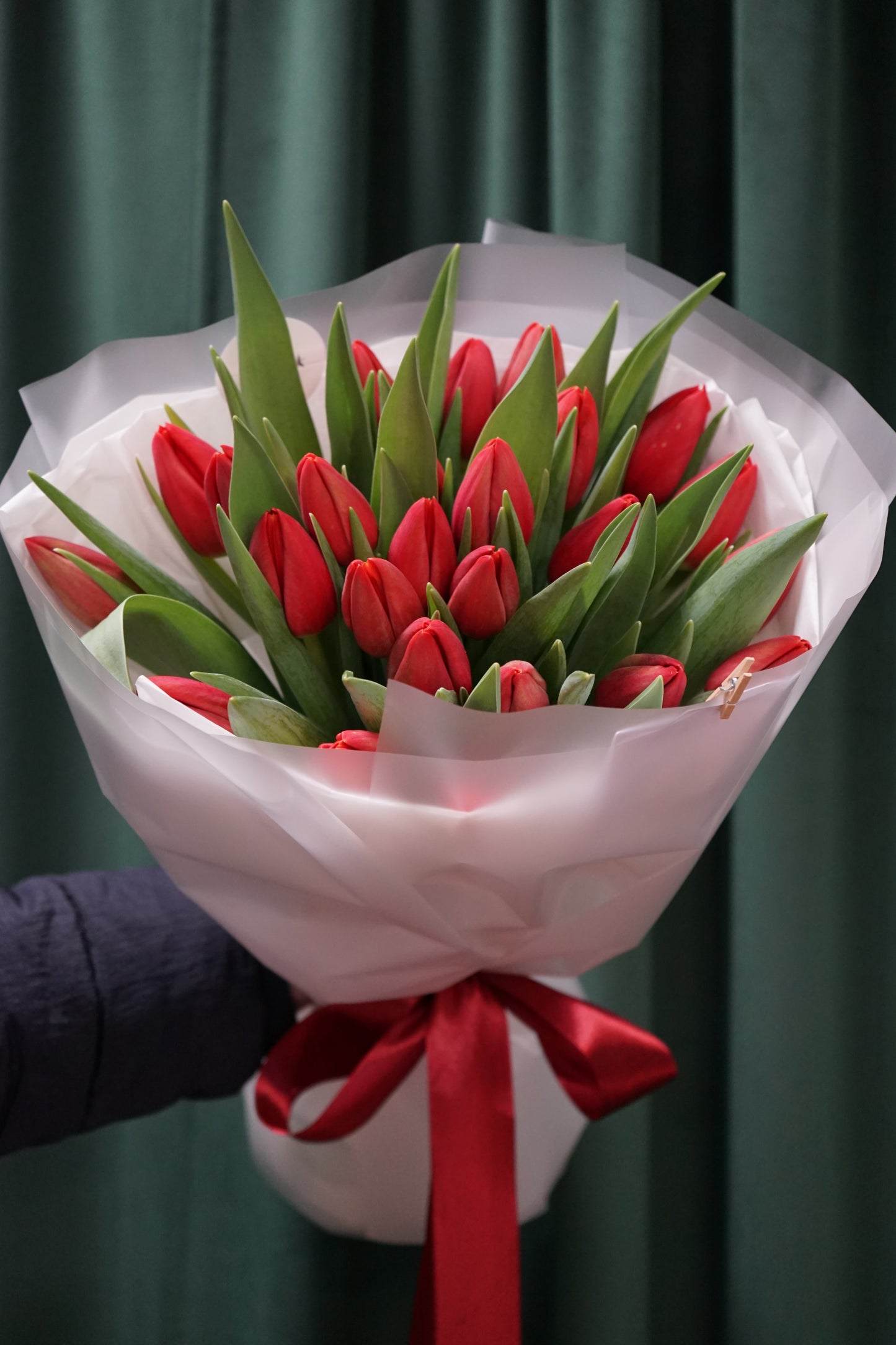 A bouquet of red tulips