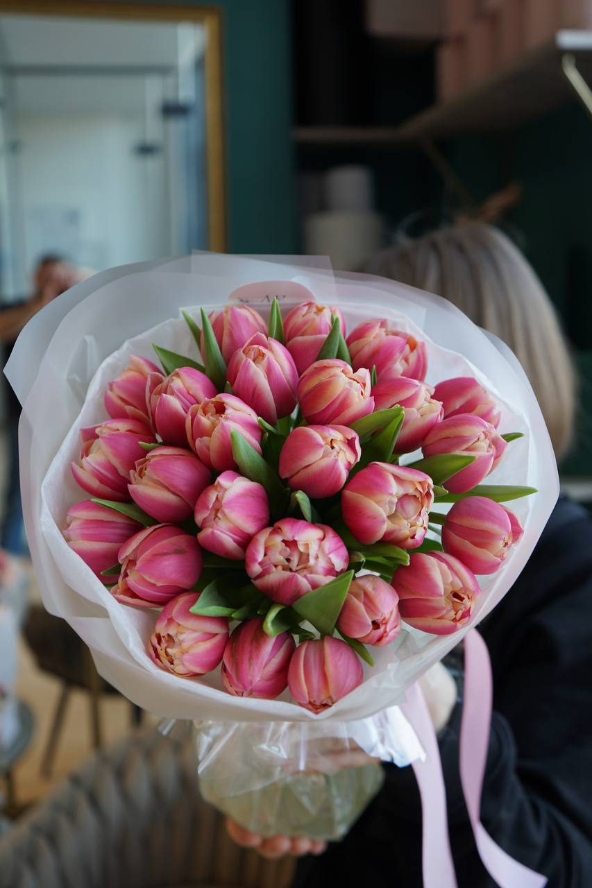 Peony tulips "Columbus"