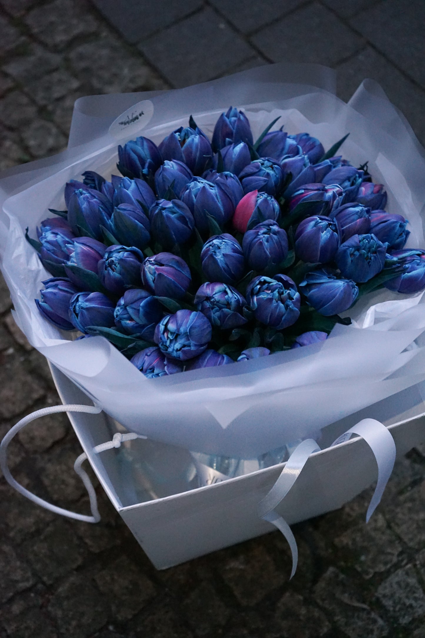 Космические тюльпаны