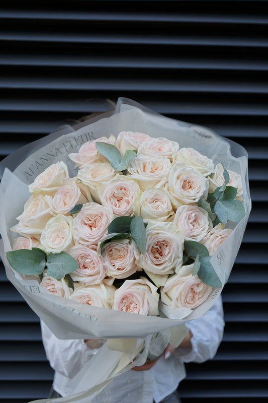 White O'hara rose with eucalyptus