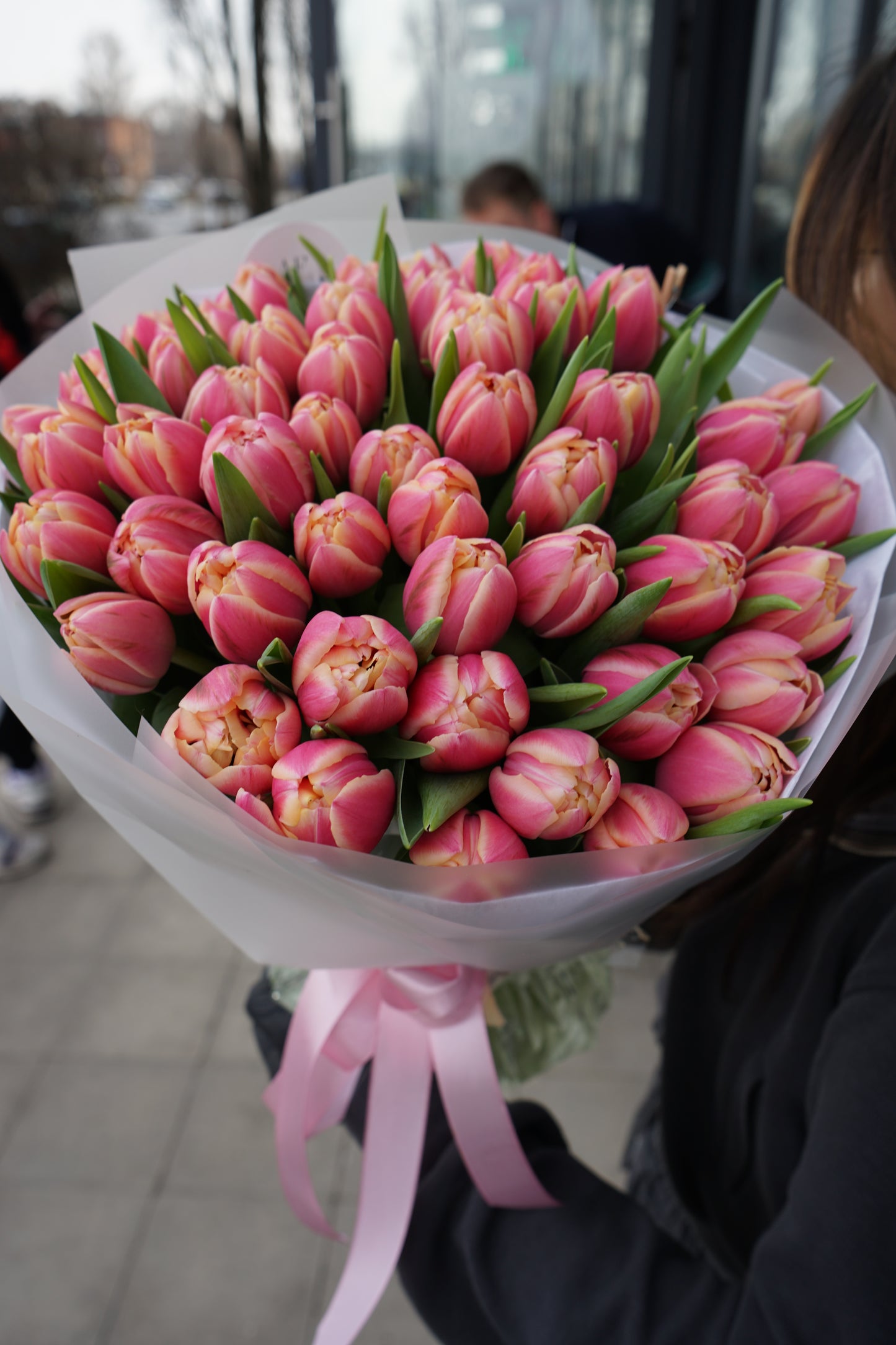 Peony tulips "Columbus"