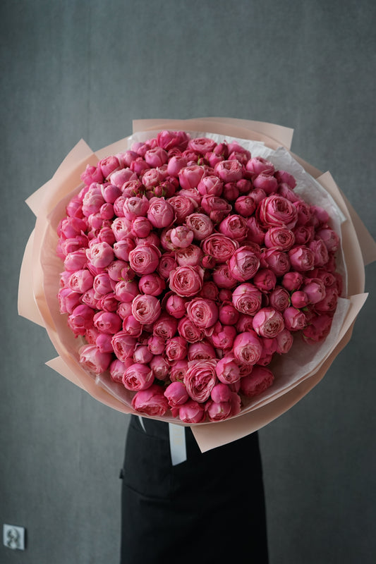 Peony roses "Silva Pink"