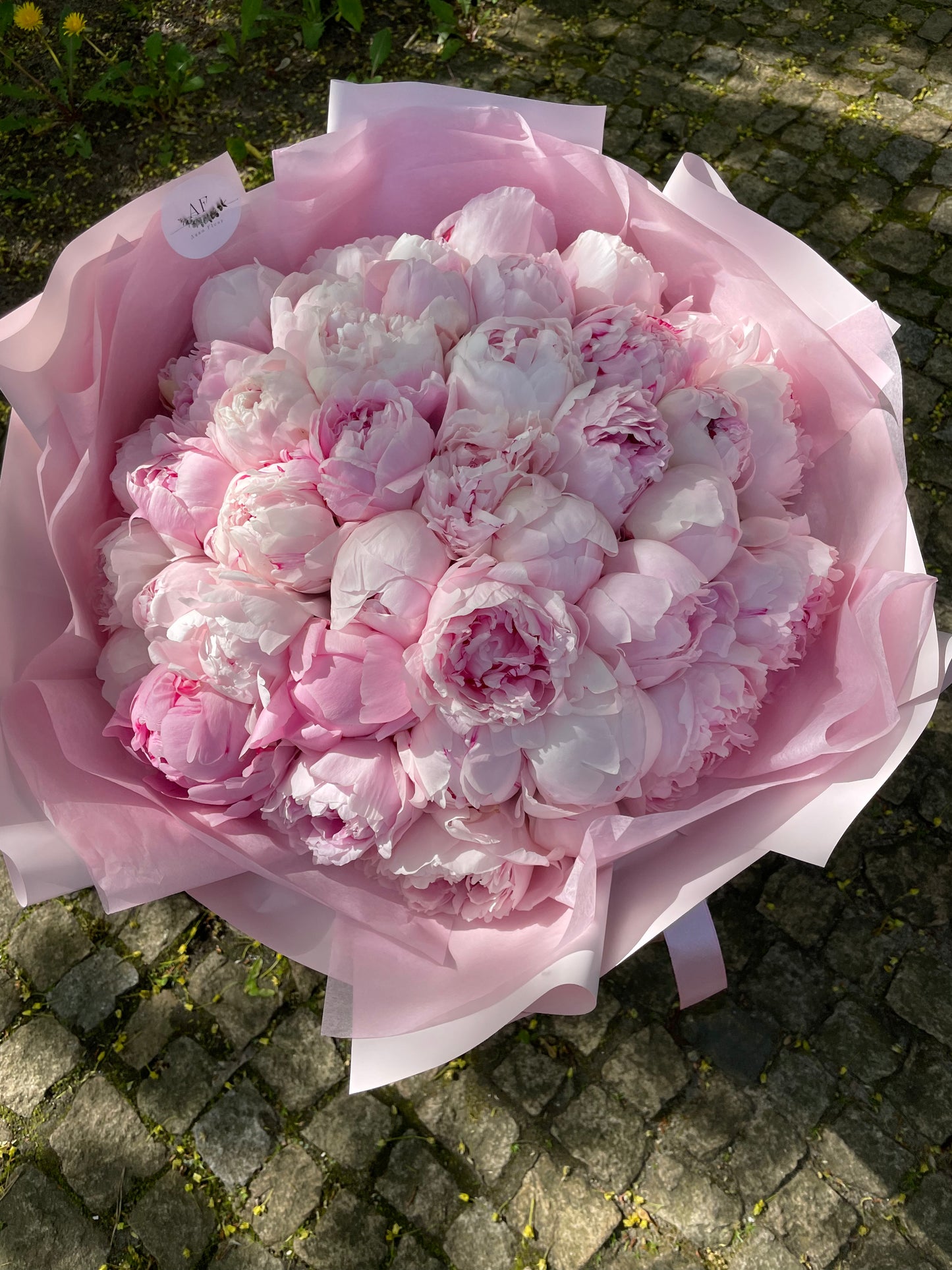 Pink peonies