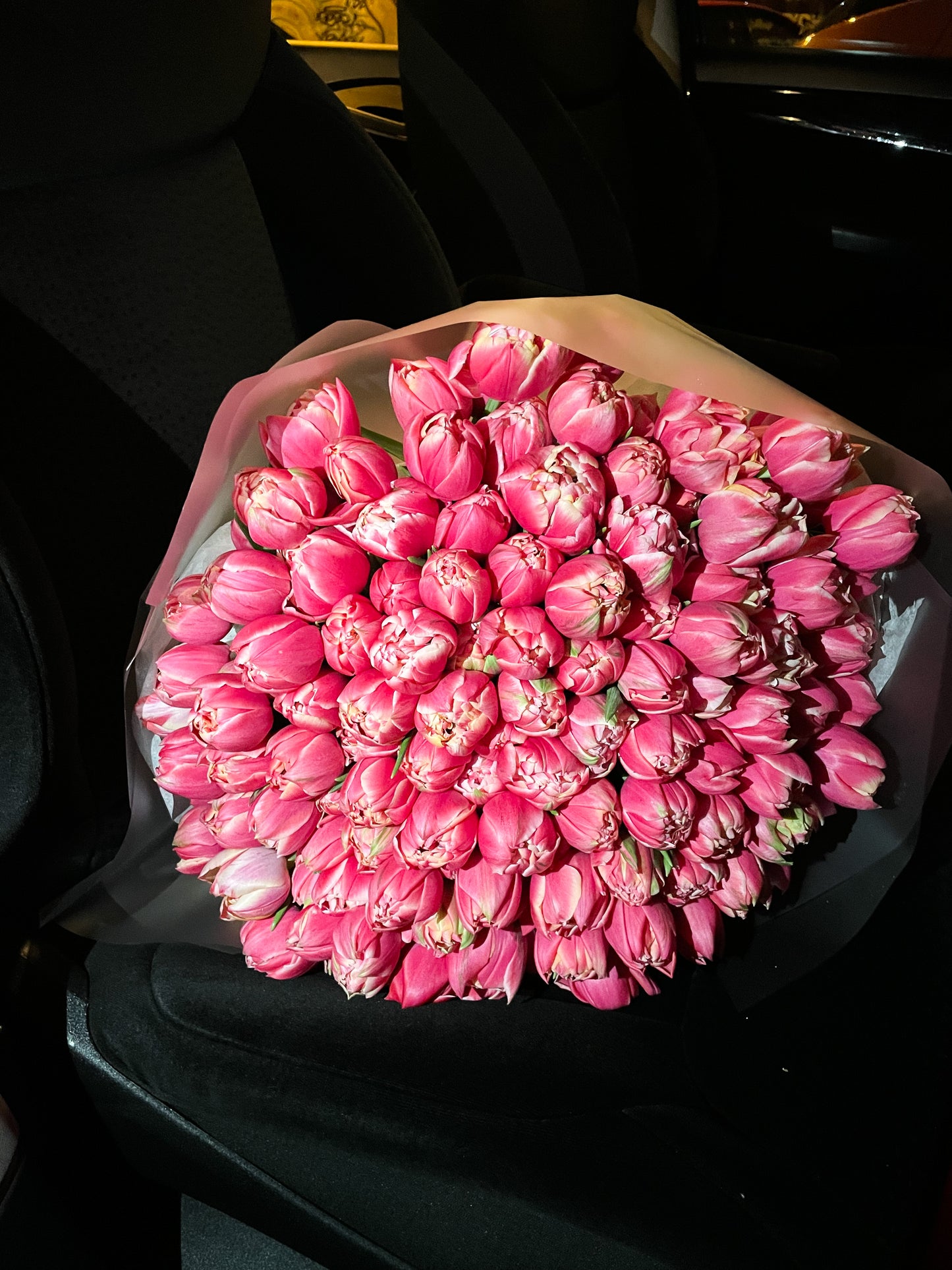 Peony tulips "Columbus"